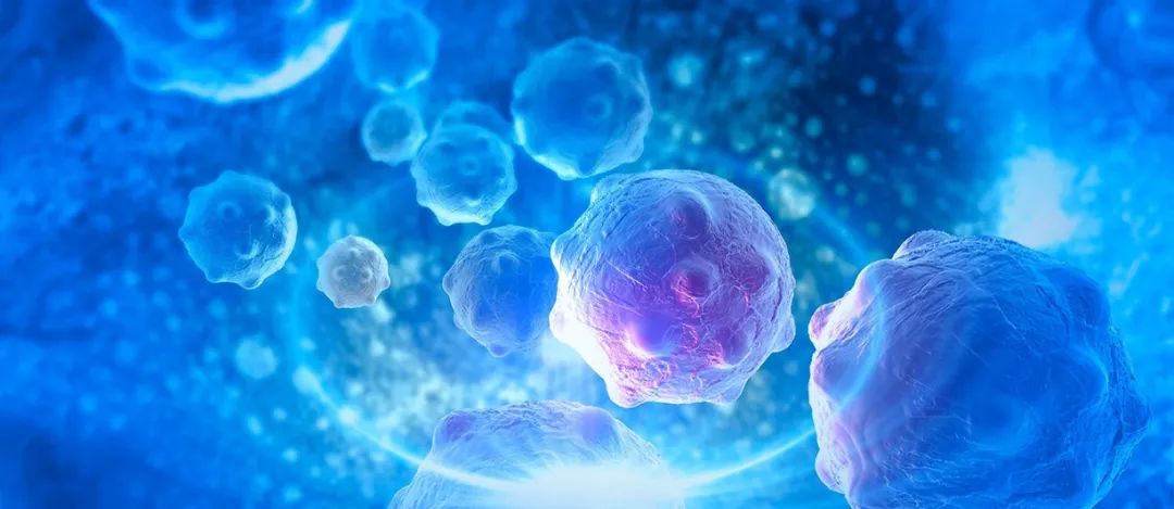 ppt中许多照片怎样处理好看,ppt中的图片式表格怎么处理