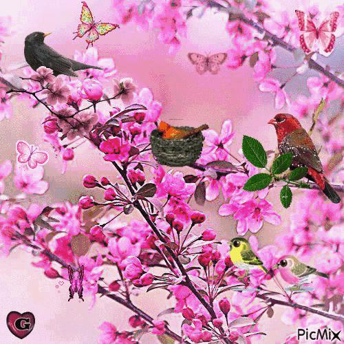 人生哲理图片带字唯美,文字动态图片大全唯美