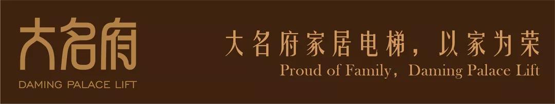 钢带式曳引电梯和钢丝绳曳引电梯 (电梯曳引钢丝绳有什么技术要求)