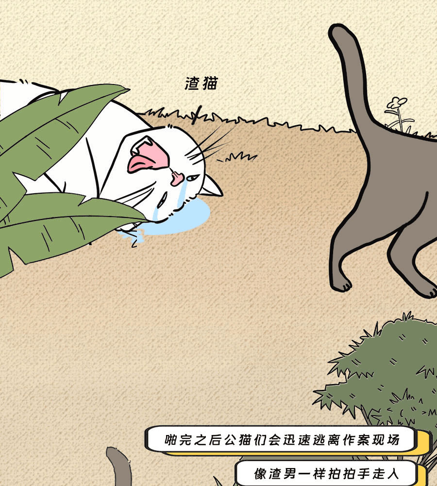 那些羞羞的事：动物是如何啪啪啪的？