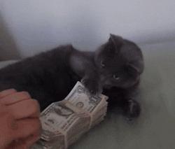 艺术家收巨款后交2幅空白画布,艺术家收巨款后交出2幅空白画布