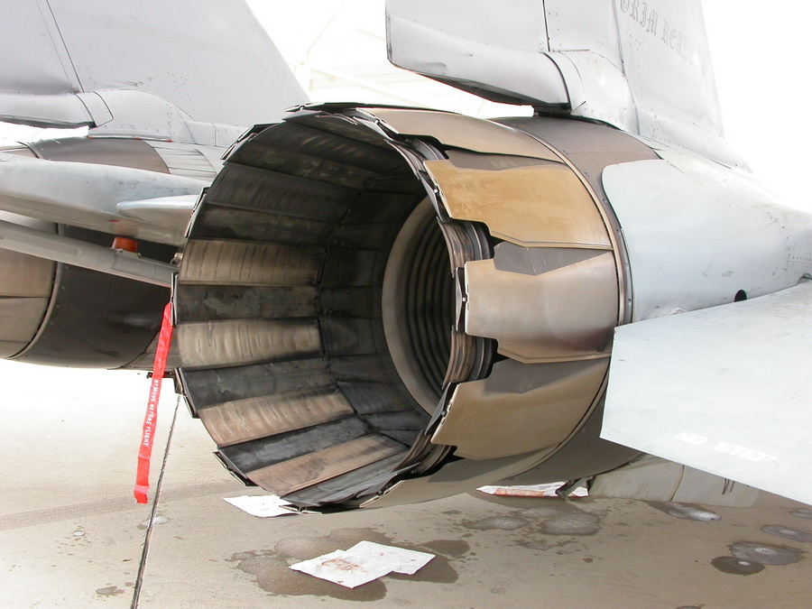 猫咪需要哪些用品,猫迷惑新技能