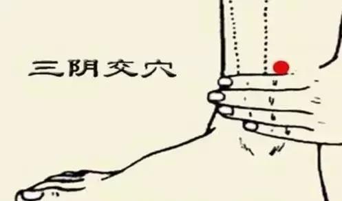 关于妇科病的四个重要穴位,妇科病的对应穴位