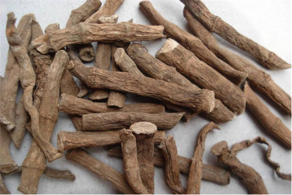 五毒不毒顺口溜,俗话说五毒俱全指哪五毒