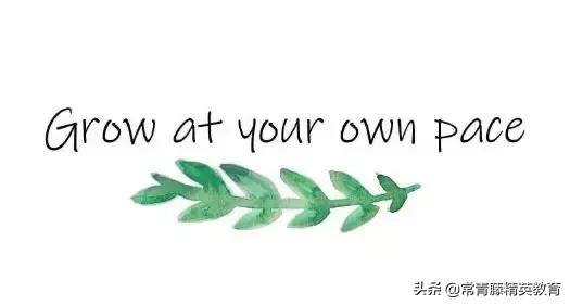 瞧不起社区大学？给你6个无法抗拒的理由