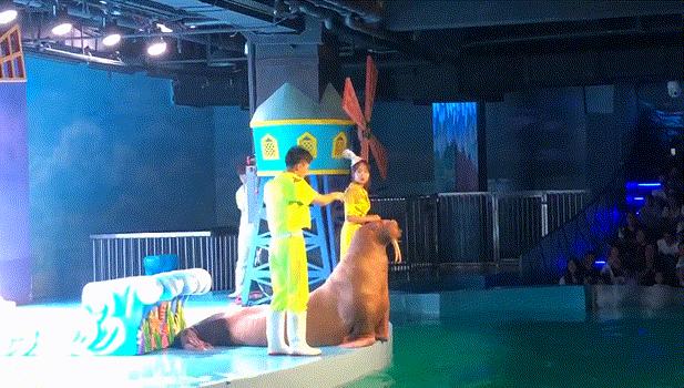 哈尔滨去威海亲子游,哈尔滨旅游攻略亲子游四天三夜