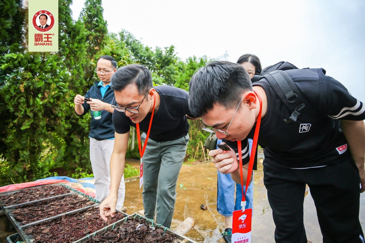 “买买买”有保障！京东溯源检查团带你探访霸王洗发水品质源头