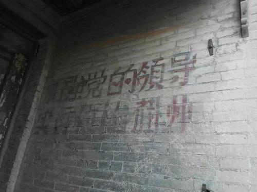 四川104岁老农去世留下奖状,河南老农因一份奖状暴露身份