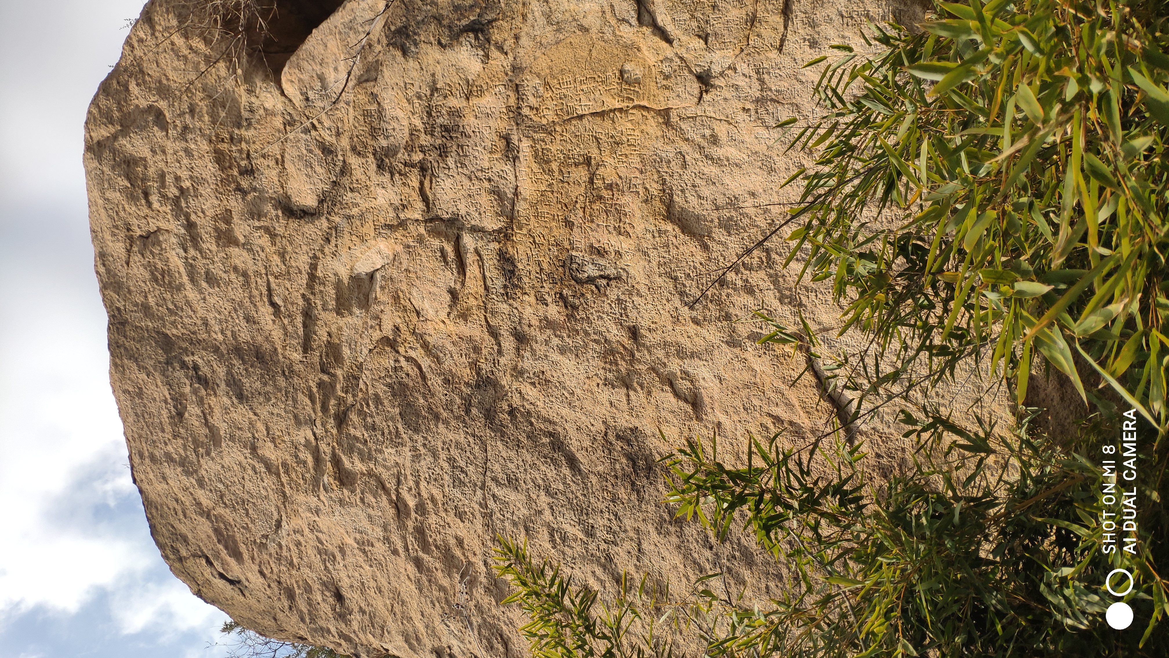 崂山水畔菜蔬鲜，黄石洞中书韵长