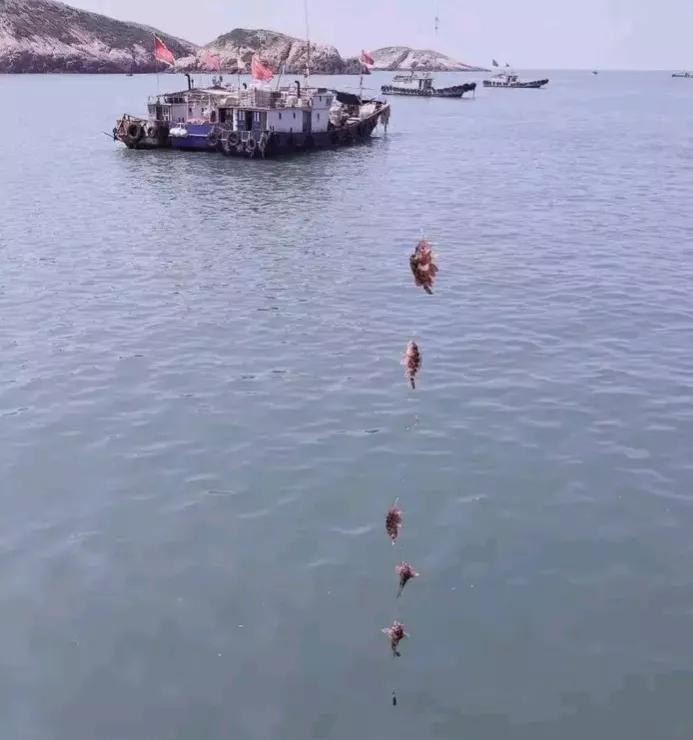 象山渔山列岛海钓,象山渔山列岛攻略