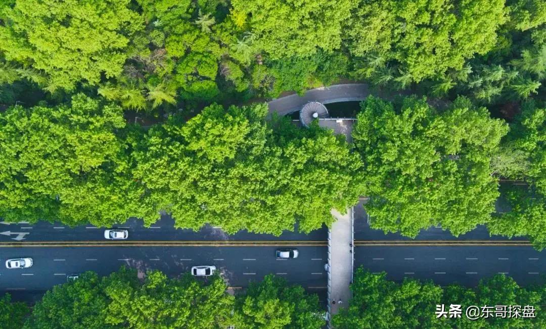 郑州在你眼中的样子,郑州的10年