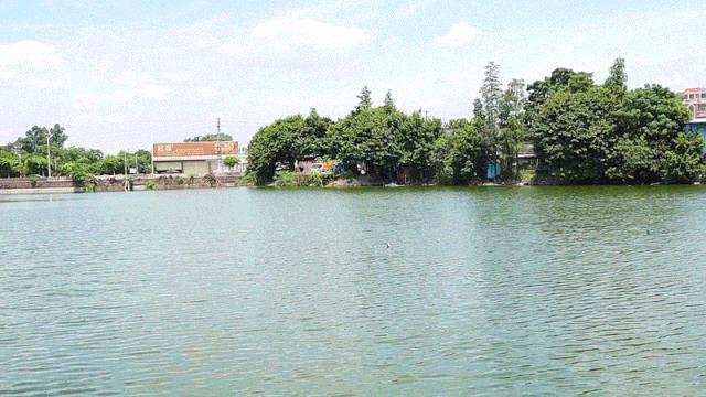 隐藏在大良的农庄,隐藏在佛山古村的私房菜2元