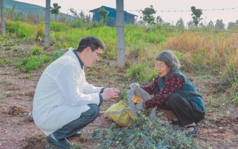 放弃70万的年薪回农村,放弃80万年薪回农村