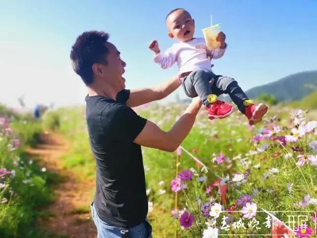 滇池边绝美花海,滇池南岸花海