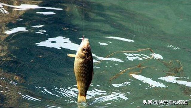 春季野钓钓鱼选择什么位置最好,春季野钓河流怎么选钓位