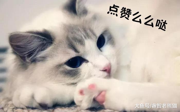 QQ号码注销功能即将上线，你的Q龄是多少年？