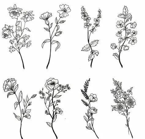 白描花卉线稿初学者,100幅白描花卉图片