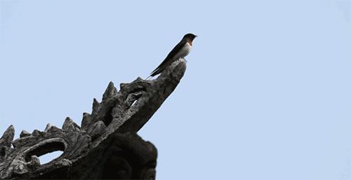 什么是坡屋顶有什么优缺点,什么是坡屋顶保温