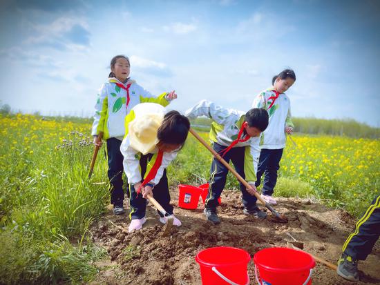 小学劳动实践研学活动总结,小学开展劳动教育研学实践活动