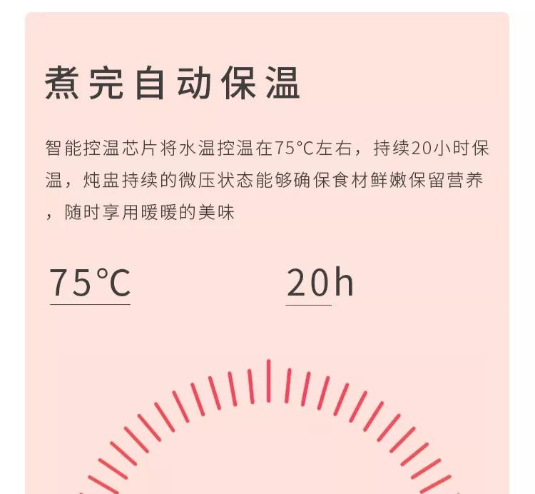 高端健康养生电锅,电炖锅养生