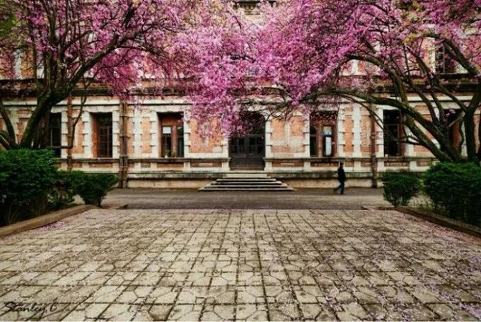 昆明五大免费景点游玩指南全攻略,昆明旅游必看景点有哪些免费的