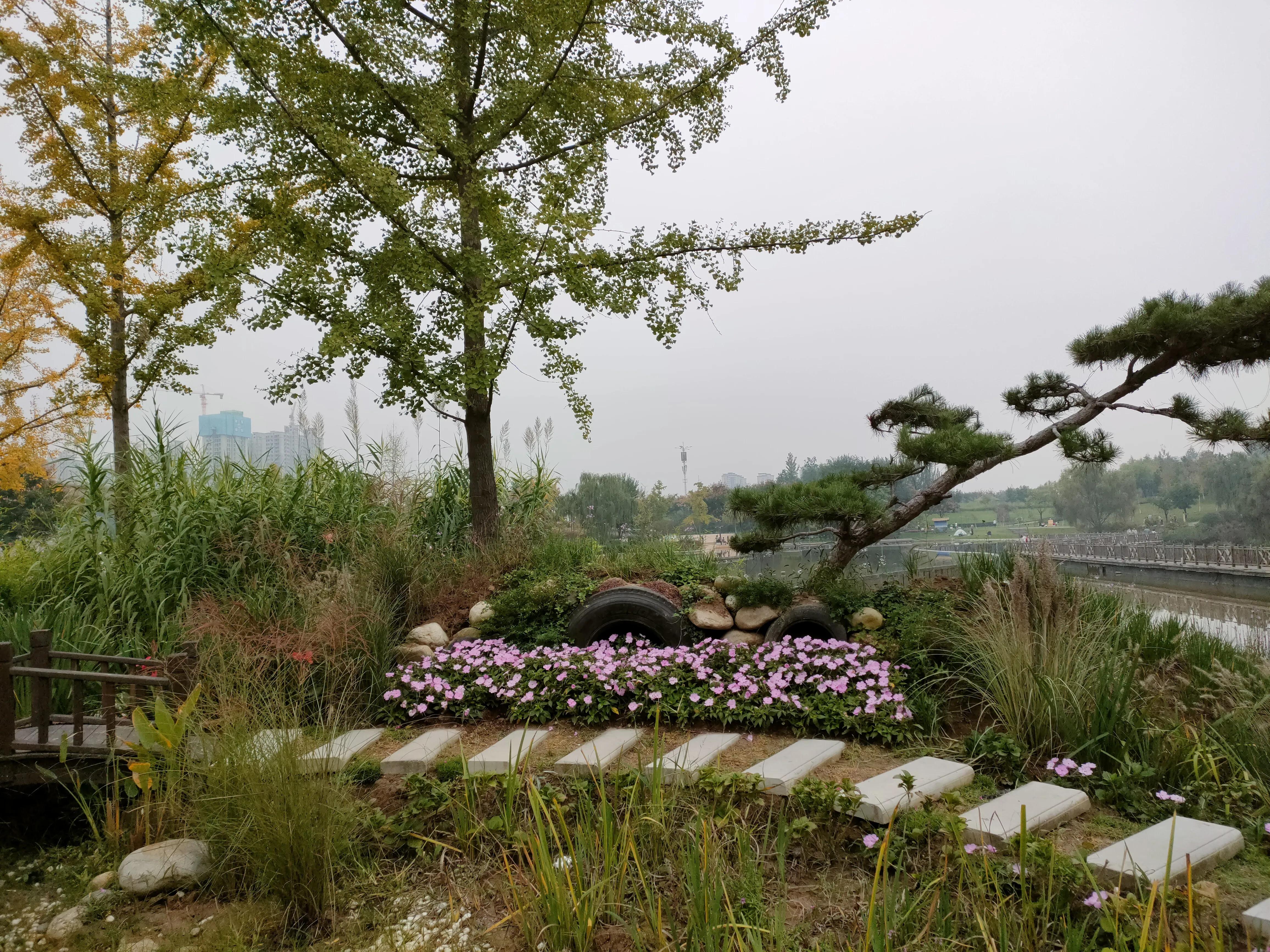 游西安曲江海洋极地公园,国庆去西安海洋极地公园