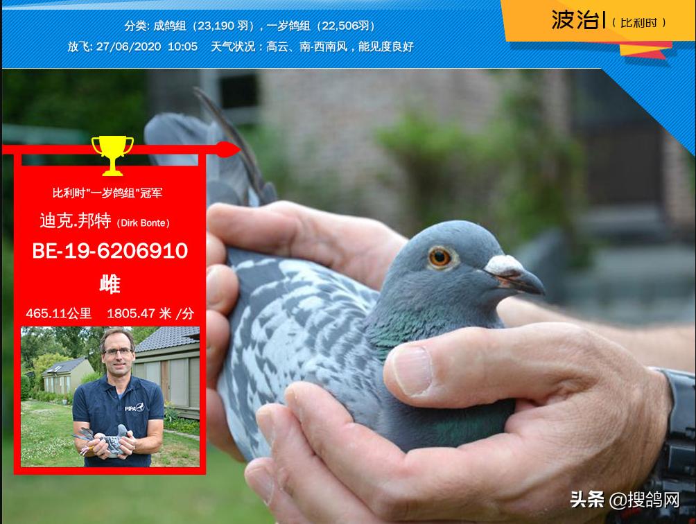 2020年比利时波治I冠军赏析