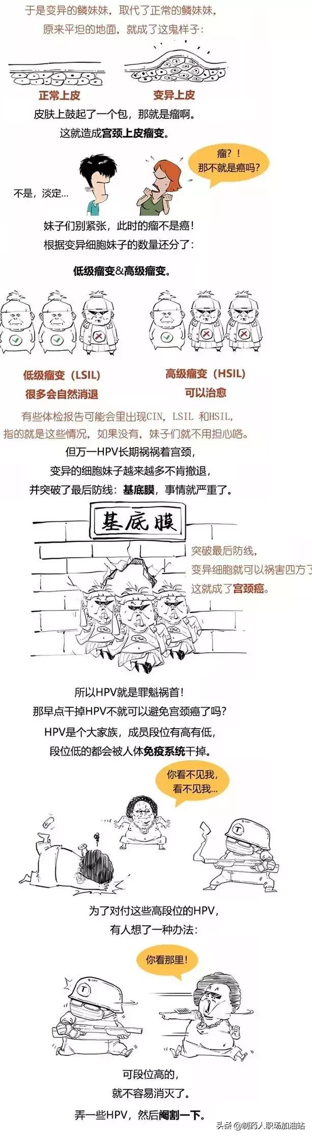 乳房癌、宫颈癌与HPV