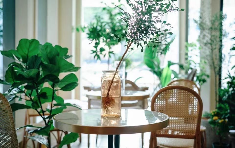 灞变笂閫傚悎浜插瓙鐜╃殑鍦版柟,灞变笂浜插瓙娓哥帺鍦扮偣鎺ㄨ崘