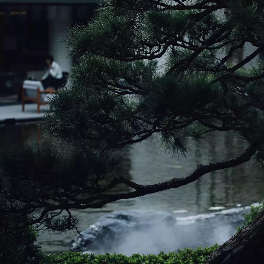 苏州山水樾澜庭劣势,苏州山水樾澜庭