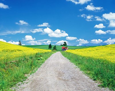 抗击疫情心理课堂,疫情防控期间心理疏导咨询视频