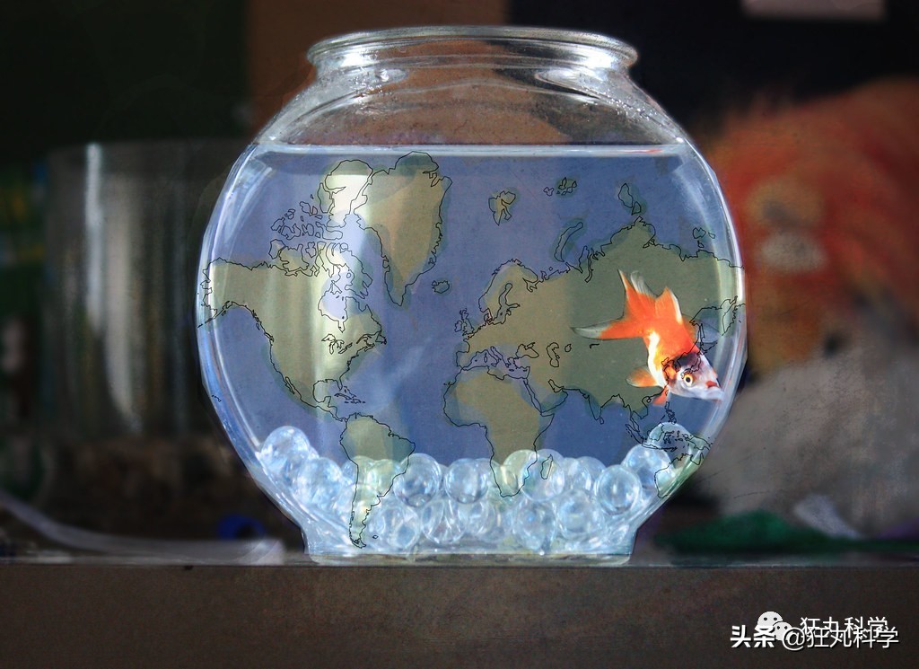 古代人近视如果没有眼镜怎么办,古代人近视时是怎样的