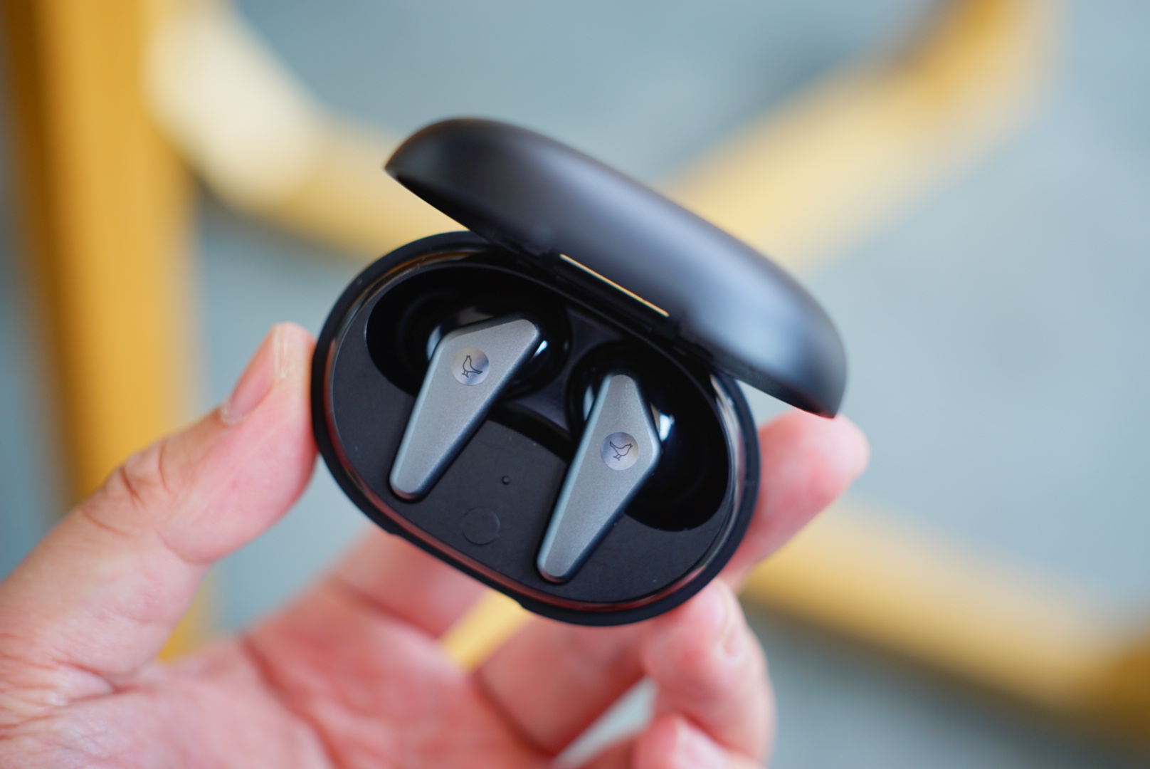 灏忛笩钃濈墮闊崇bird,灏忛笩trackair+璇勬祴