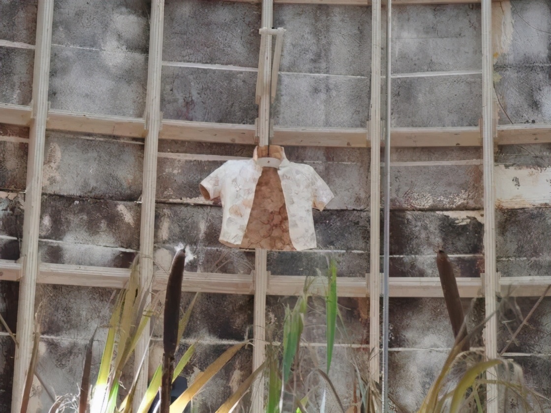 明明是新衣服，怎么上面长了蘑菇？荷兰人的时尚让人看不懂