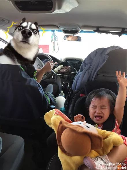 林依晨秀恩爱,林依晨和袁湘琴合体