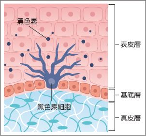 被颜值吸引的护肤品,被颜值吸引被品质征服