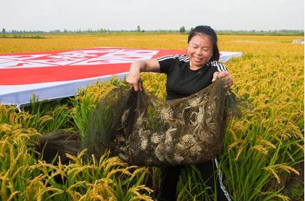 拼多多近几年的趋势如何,拼多多是怎么杀出一条血路的