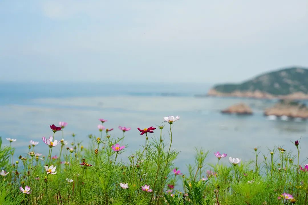 浙江海边看日出民宿海岛,南澳看日出海边民宿推荐