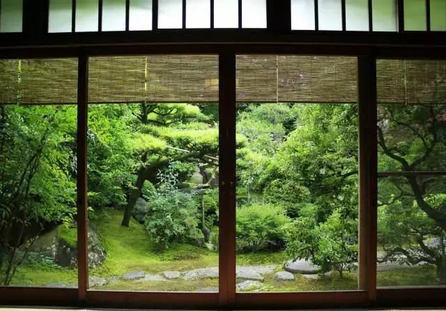 鑼舵梾璺嚎鏀荤暐,鑼舵梾璺嚎鎺ㄨ崘