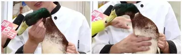 炖老鸭汤加一物清爽不腻又滋补,老鸭汤夏天炖什么最好吃