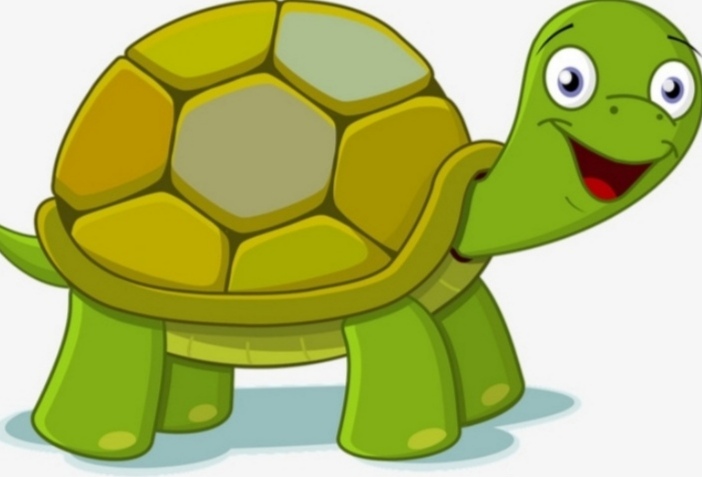 小乌龟没妈妈视频,小乌龟没有了妈妈该怎么生存