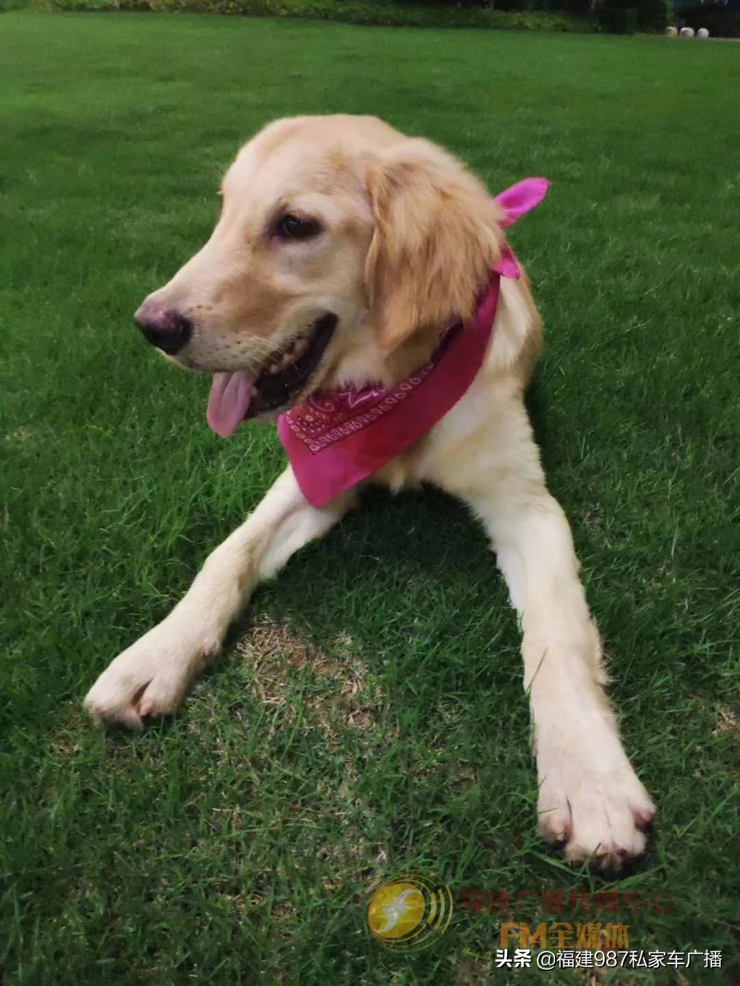 被撞离开只算逃逸不属于肇事,交通肇事送医后逃走算逃逸吗