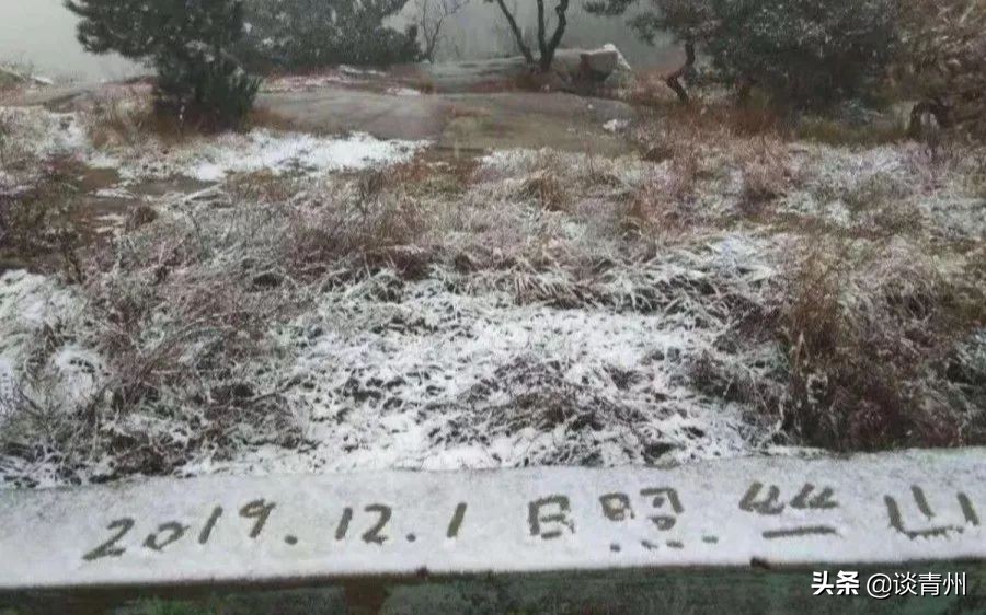 2019最后一个月，山东也太有戏了吧！这些爆款剧演，真怕你错过