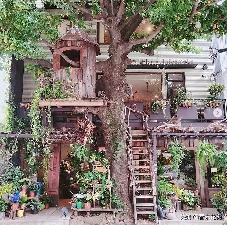 日本东京花店推荐,超美的花店