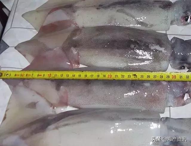 硬核科普全部,硬核科普大全视频