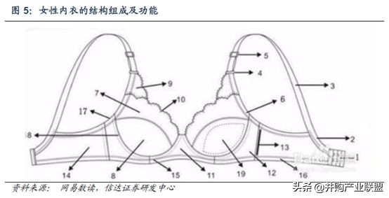内衣行业发展与投资环境分析方法,行业研究做并购