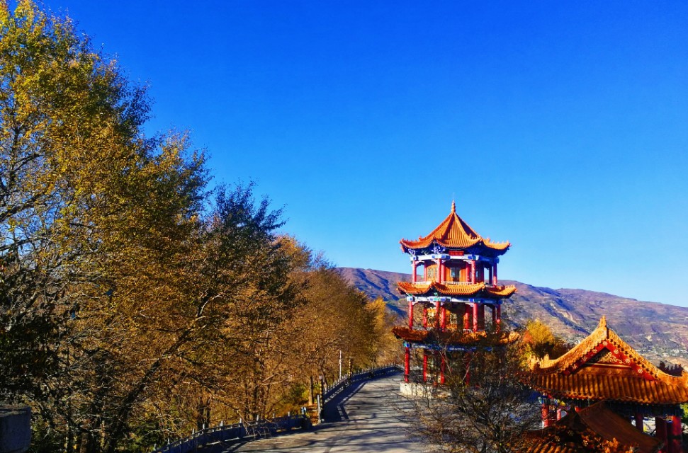 痔疮手术日记:所有的痛,都是欲望的惩罚