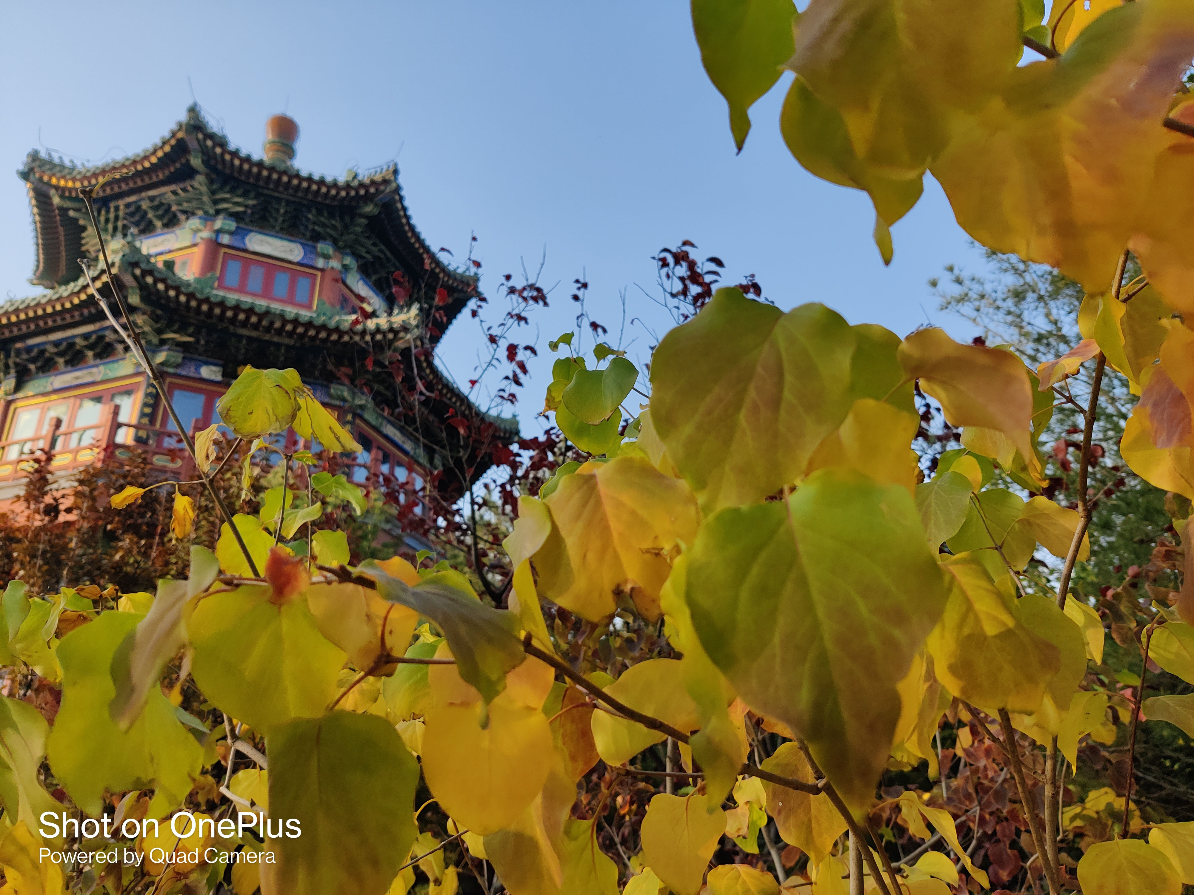 一加8t到底好用不,一加8t用一个月感受