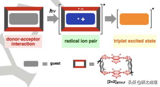 鍌寲蹇姤鏈熷垔,鍌寲鏉傚織灏侀潰