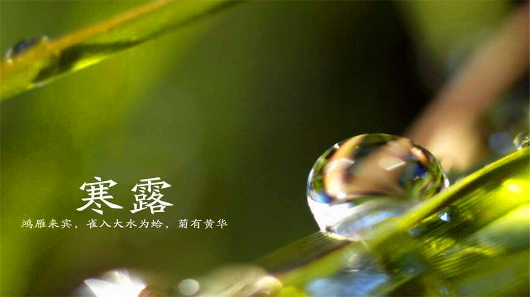 寒露季节要注意吃什么水果,寒露节气最佳水果